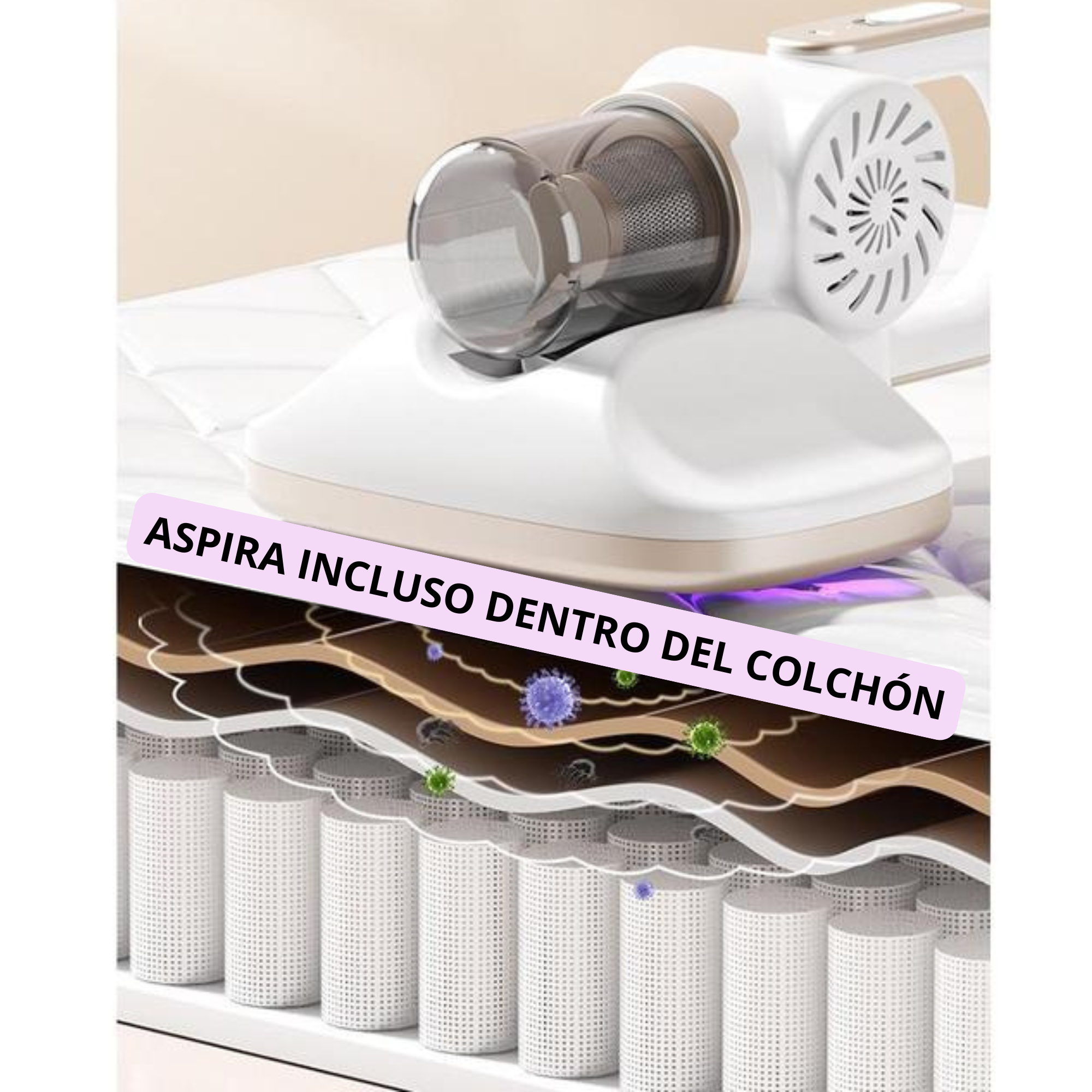 https://cdn.shopify.com/s/files/1/0991/1028/9733/files/ASPIRADORA_COMBINACON_3_80e58ee5-a4e2-4140-b30c-aef878f9b6e8.png?v=1773405365