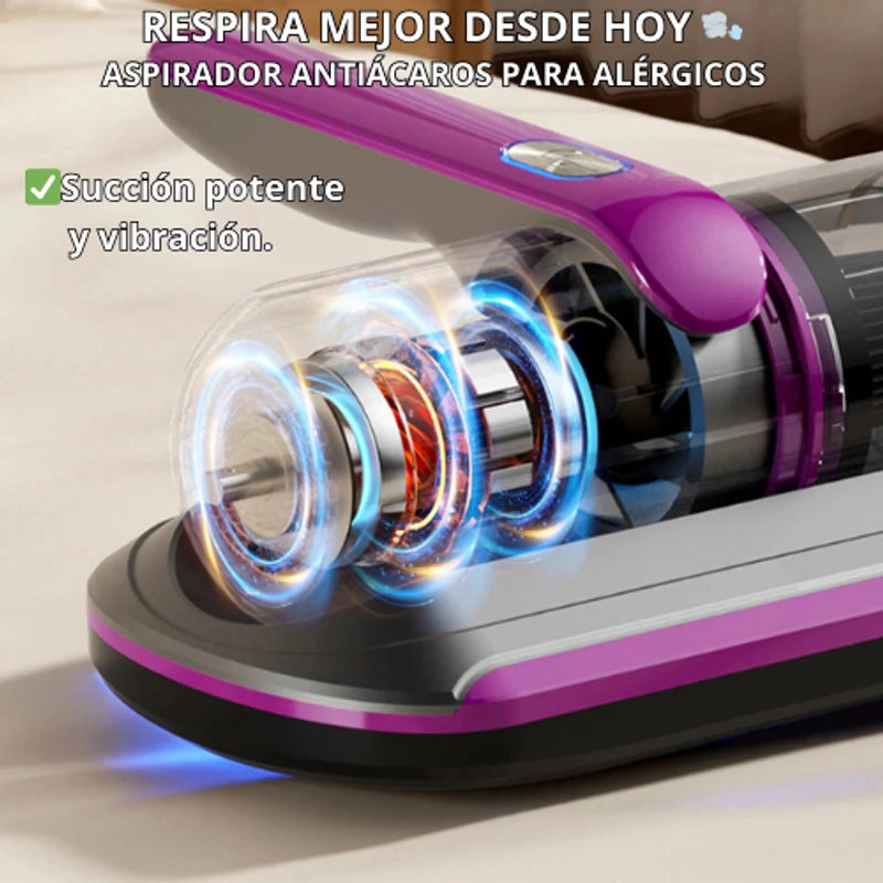 https://cdn.dropmagic.ai/medias/f89bf593-4111-4fcb-bf6c-6fd7efeb2cf3.webp